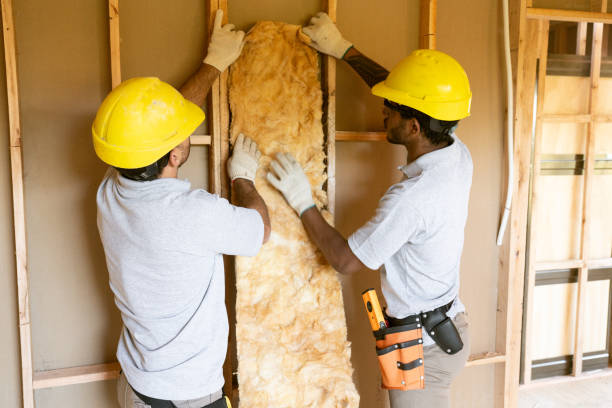 Types of Insulation We Offer in Laguna Vista, TX